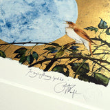 The Book Of Birds - Nightingale - Premium Edition