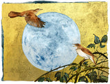 The Book Of Birds - Nightingale - Premium Edition