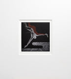 Ornithology Plate VI Unframed