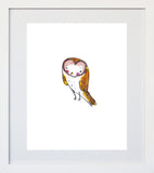 Owl- White Frame