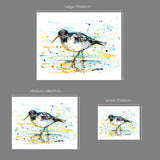 Print The Ireland Collection - Oystercatcher - Limited Edition