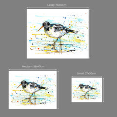 Print Ltd Edition The Ireland Collection - Oystercatcher