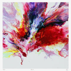 Print Ltd Edition Floral - Passion Unframed