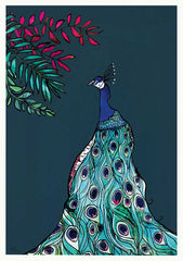 Peacock Unframed