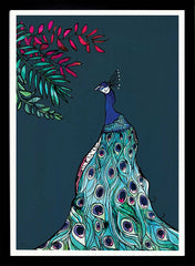 Peacock Black Frame