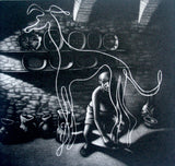 Picasso's Dog I