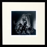 Picasso's Dog 2 Framed