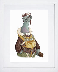 Animals - Pigeon  Frame White 