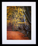 Pillars Of The Community Black Frame
