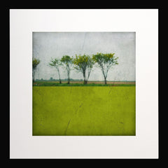 Pole Acide Black frame