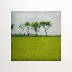 Pole Acide Unframed
