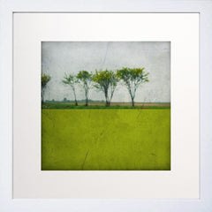 Pole Acide White Frame 