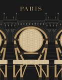 Paris Illustrations - Pont Neuf Unframed
