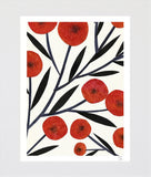 Poppies Unframed