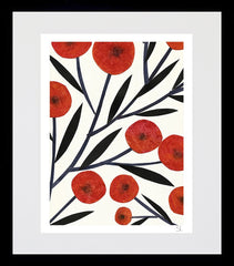 Poppies Black Box Frame