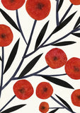 Poppies