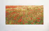 Other - Poppies In Gold Unframed 71x45