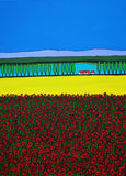 Poppy Field 