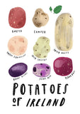 Norn Iron - Potatoes of Norn Iron - Unframed