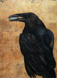 The Lost Words - Raven