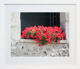 Paris In Red - Window Box Frame White 