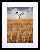Co Down - Rihanna Tree I  Frame Black
