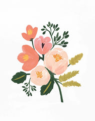 Rose Botanical