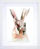 Animals Hare - Irish Hare White Frame