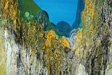 Sea Cliffs