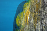 Sea Cliffs