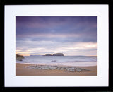 Sheep Island Frame Black 
