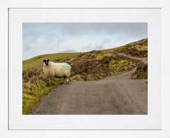 Co Down - Smile, Slieve Gullion - White Frame 