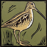 Lino Print - Snipe
