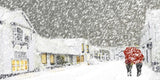Co Down - Snowy Day Crawfordsburn