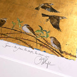 The Book Of Birds - Sparrow - Premium Edition