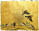The Book Of Birds - Sparrow - Premium Edition