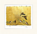 The Book Of Birds - Sparrow - Premium Edition