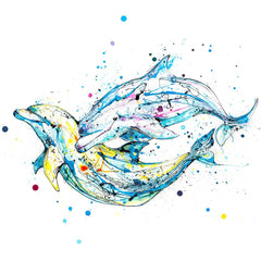 Print Ltd Edition Animals - Splash