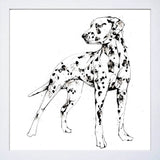 Print Open Edition Animals - Spots-Available In One Size Only-White Box Frame (No Mount)