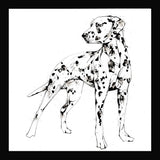 Print Open Edition Animals - Spots-Available In One Size Only-Black Box Frame (No Mount)