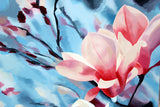 Spring Blossoms, Magnolia Flower Against The Sky