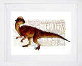 Animals - Dinosaur Stegoceras Frame White 