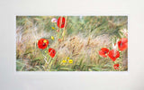 Other - Summer Meadow Unframed 71x45