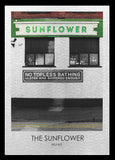 Belfast - Sunflower-50 x 70-Black Box Frame