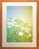 Sunlight Framed