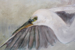 Original - Swoop