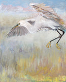 Original - Swoop