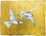 The Book Of Birds - Tern - Premium Edition