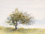 Print - Thorn Tree
