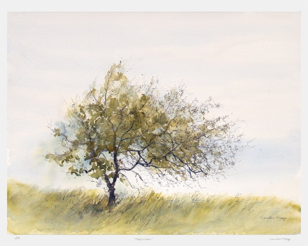 Sandra Maze | Thorn Tree | Yard Gallery